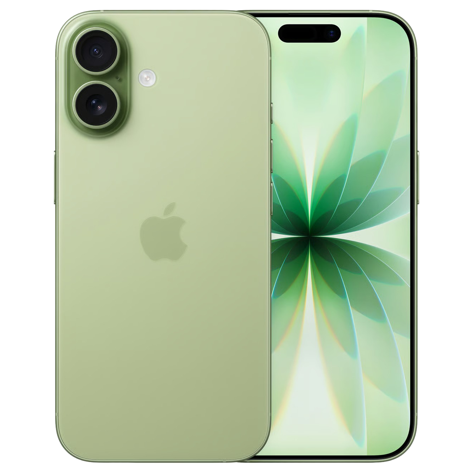 iPhone 17 256GB Saliegroen - Gratis Screenprotector & 2 Jaar Garantie | Mobico