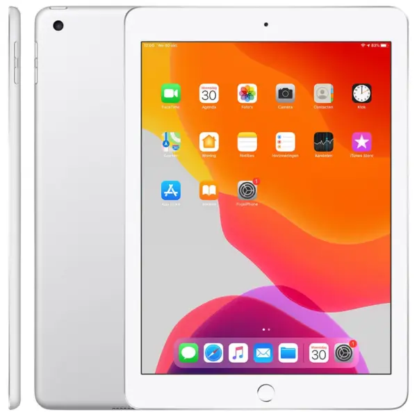 iPad 6