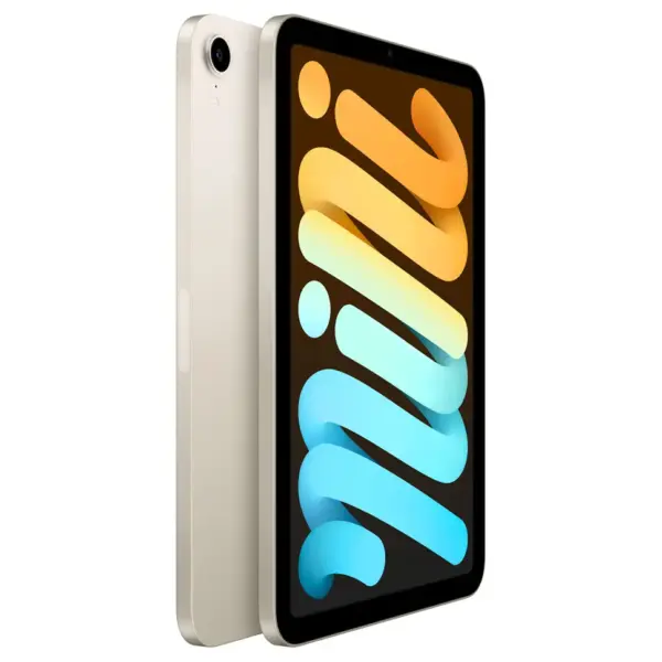iPad mini 6